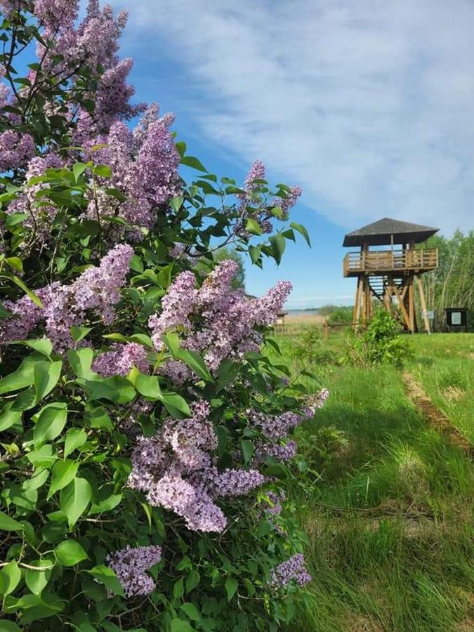 Villa Agroturystyka Ruta Nad Zalewem Siemianowka Luka Exterior foto